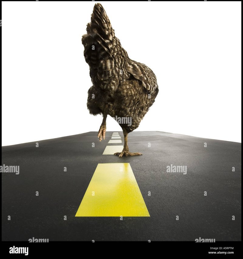 Best chicken road portugal in Portugal